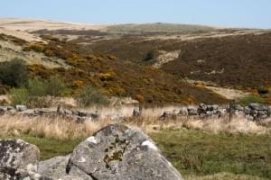 Die karge Landschaft des Dartmoors