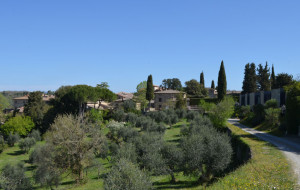 Blick ins Dorf Castello di Ama
