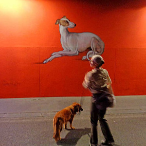 Hundebild mit Hund: im Street Art Tunnel von Paris