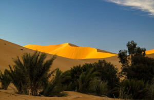 Merzouga Oase