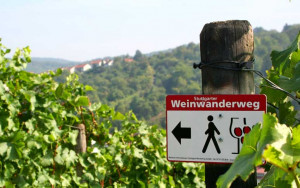 Unterwegs auf dem Weinwanderweg in Stuttgart